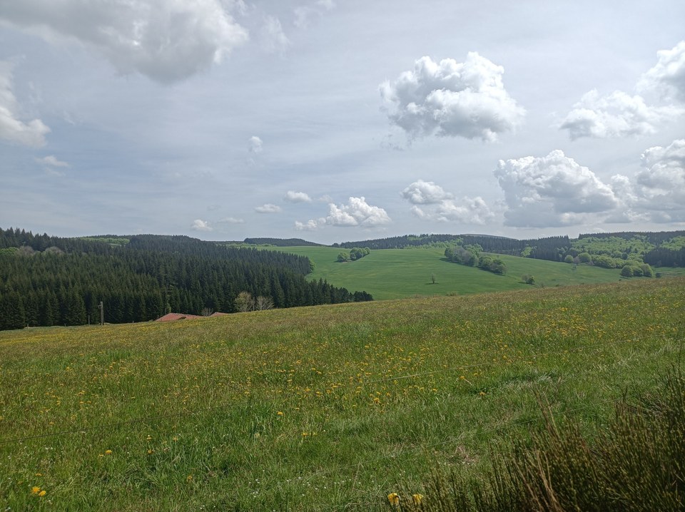 Bauzon - Saint-Cirgues-en-Montagne - 61