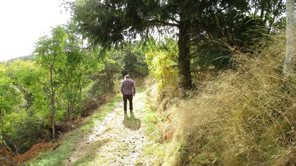 sentier à Lichessol