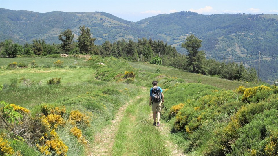 Chemin de la chèvrerie - N°37