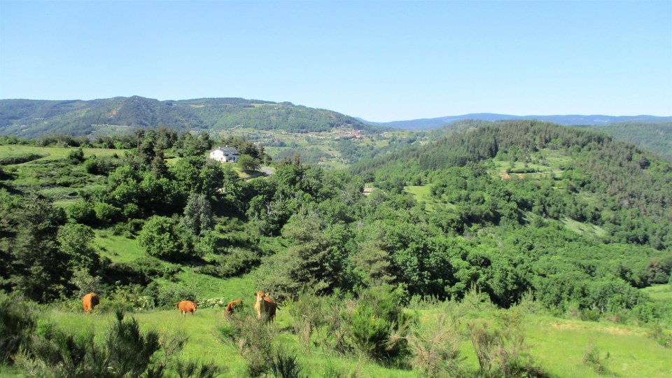 Point de vue sur Rochepaule