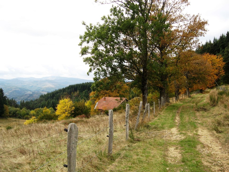 Sentier à la Grange de Bourdier