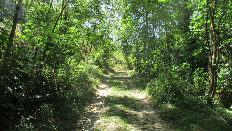 Chemin caladé