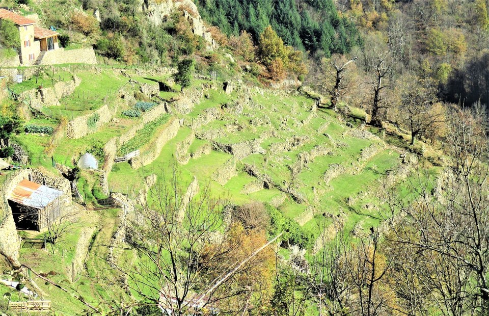 Terrasses sous le village