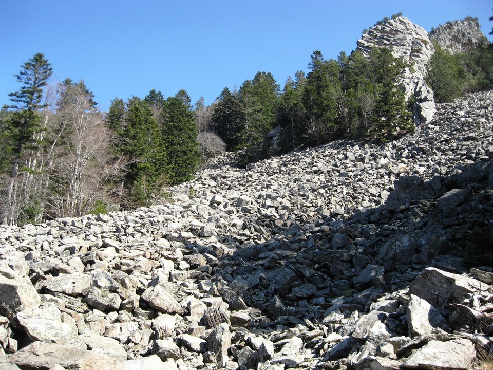 Circuit du Bois du Seigneur - N°1
