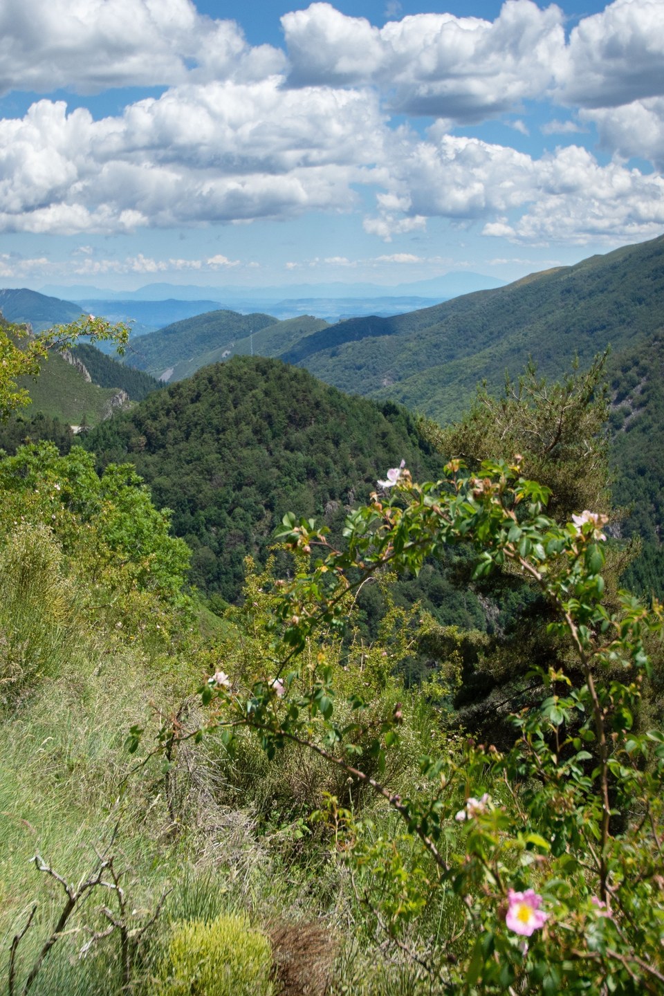 Col de la Marugier - Le Roux