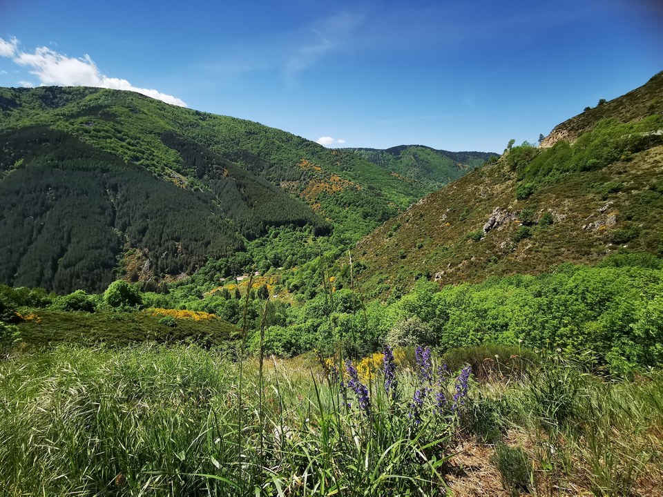 Combe Martin - Cellier-du-Luc - 30