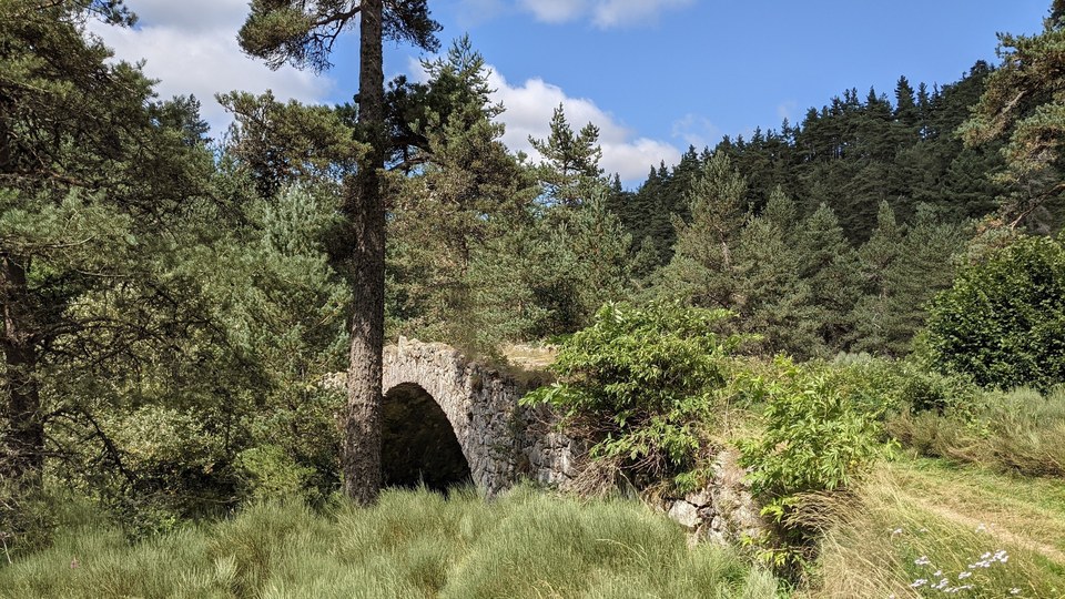 Coucouraid 45 - Coucouron - 39
