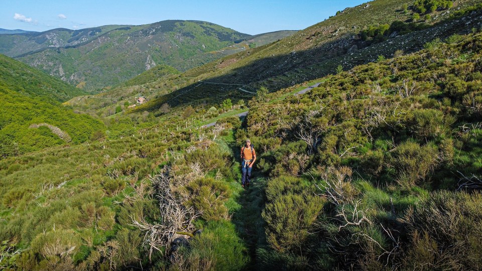 Des Cévennes au Tanargue