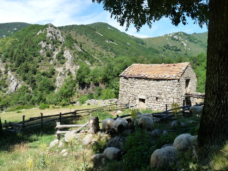 Entre Bésorgues et Volane - Labastide-sur-Bésorgues