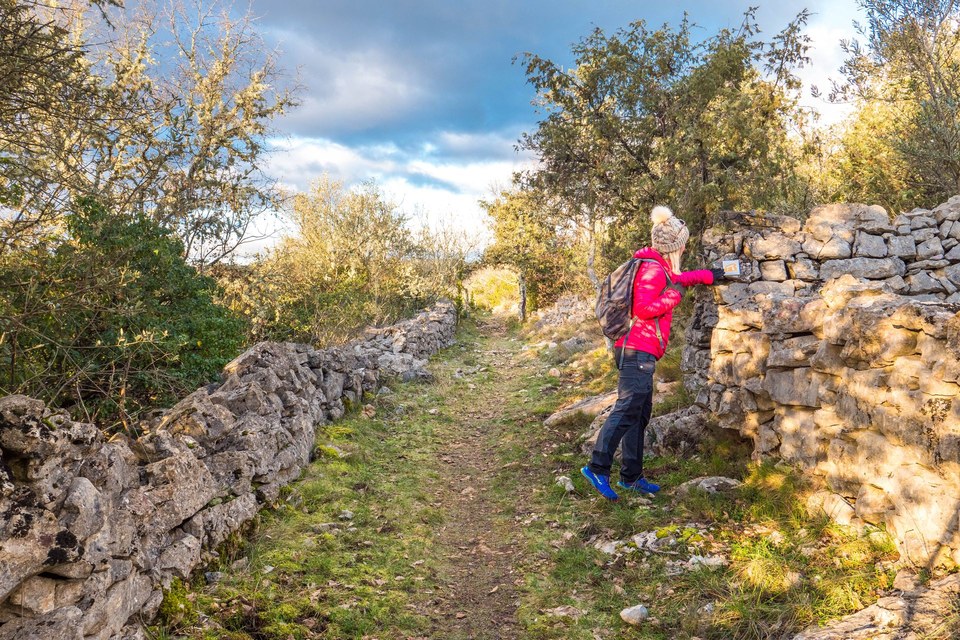 Sentier bordé de murets en pierres sèches