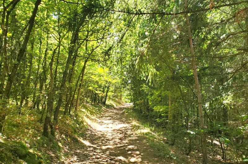 Japperenard