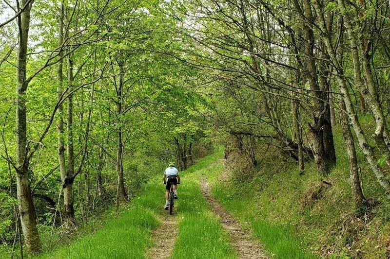 Sentier près de la forêt de Japperenard