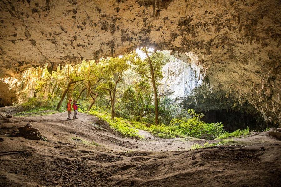 La Baume de Ronze