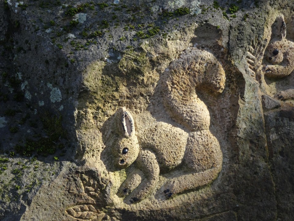 La Forêt de Saint-Georges