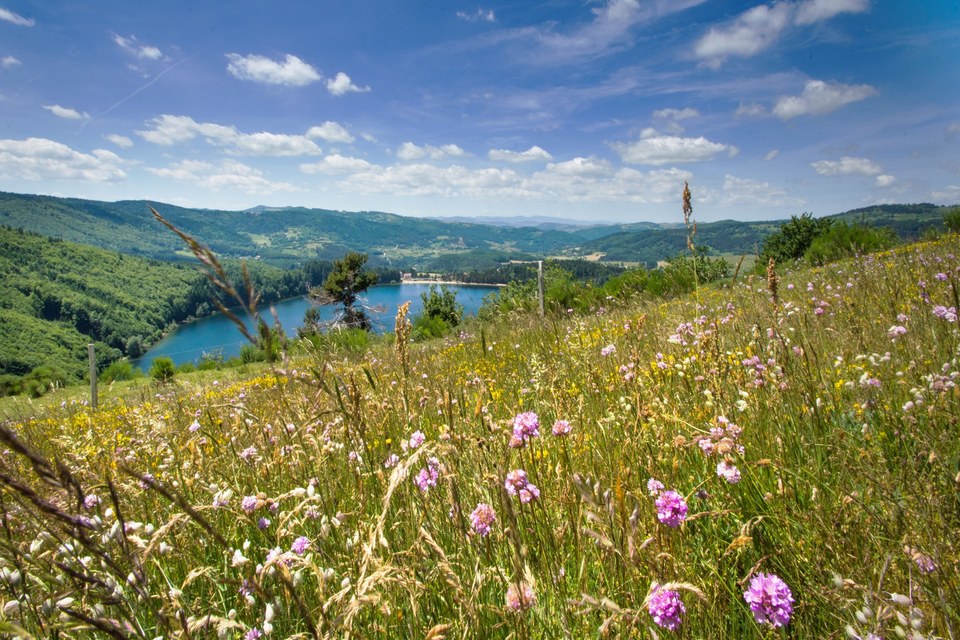 La Foulée - Le-Lac-d'Issarlès - 51