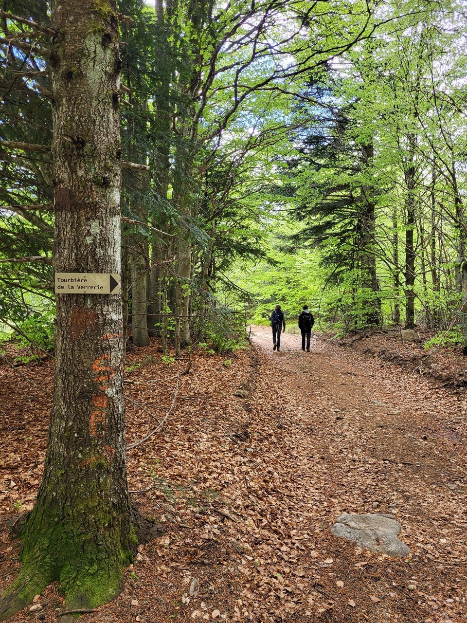 La Tourbière de la Verrerie