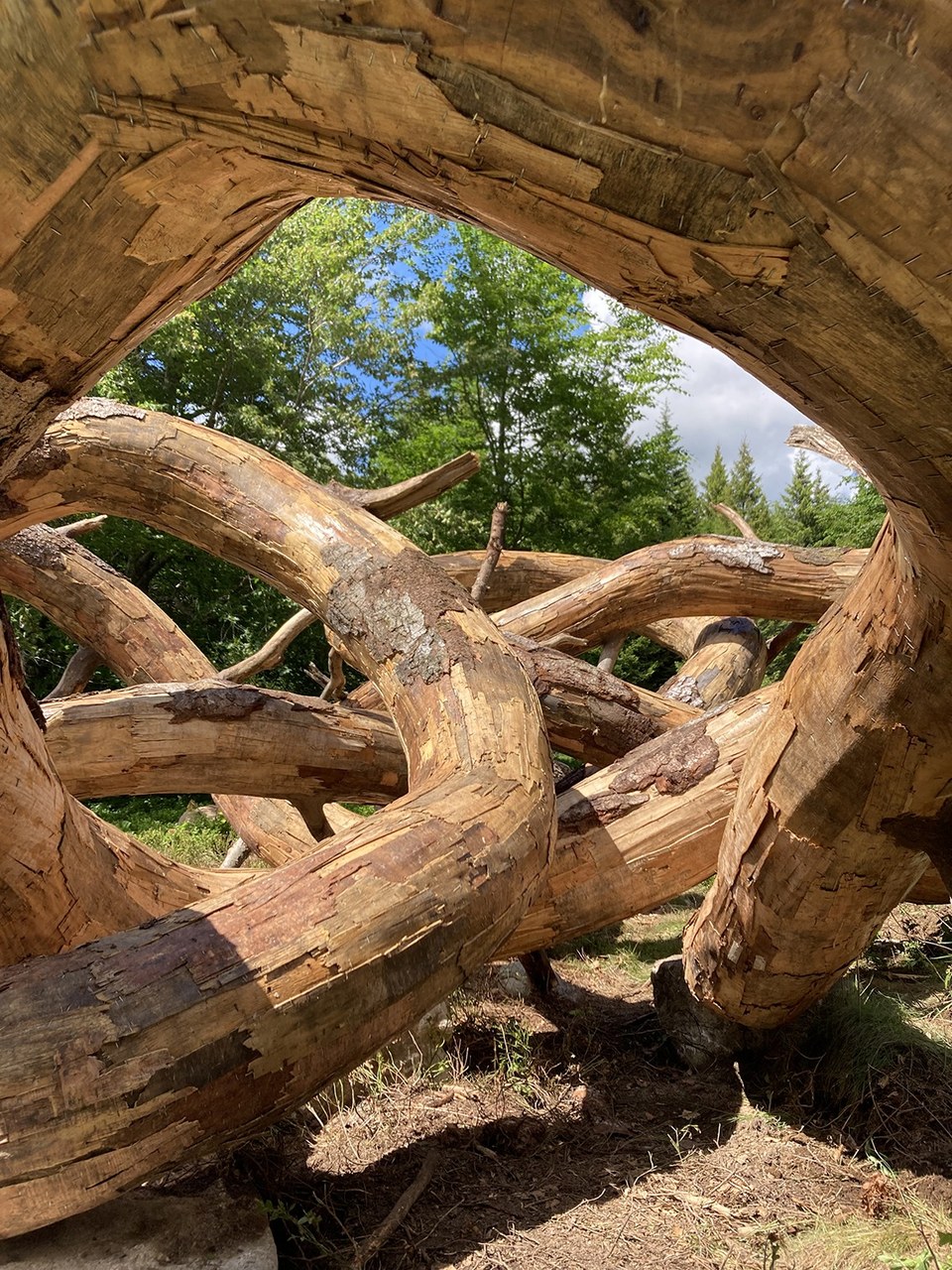 Ouroboros, la 8ème oeuvre du Partage des eaux