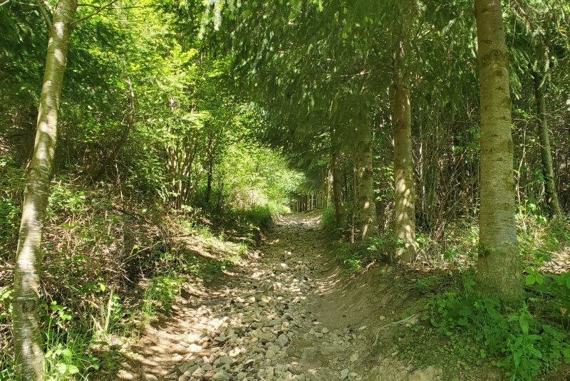 Sentier menant à la Croix de Chirol
