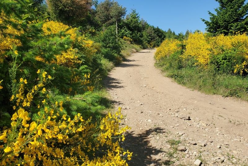 Sentier menant à la Croix de Chirol