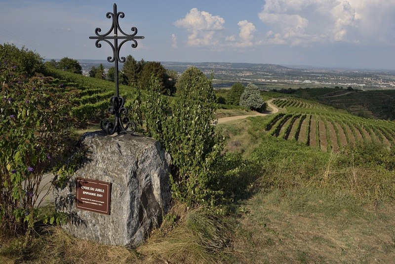 La côte de Serrières