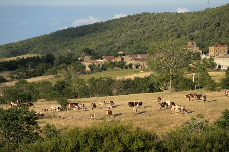 Le Bois des Taillets
