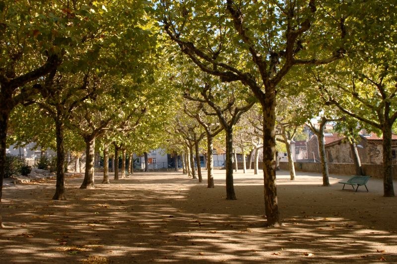 Le Chemin des Ecoliers : de Bernaudin à Van Gogh