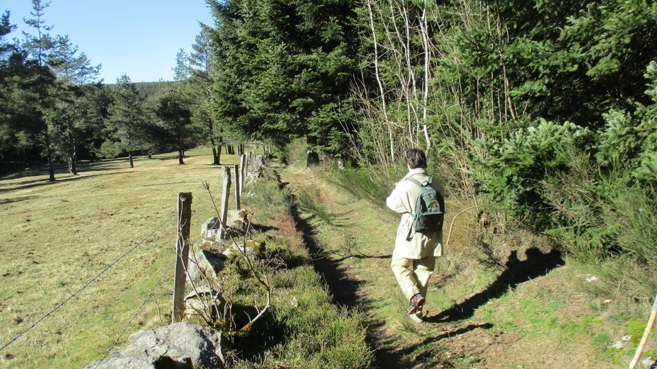 Sentier