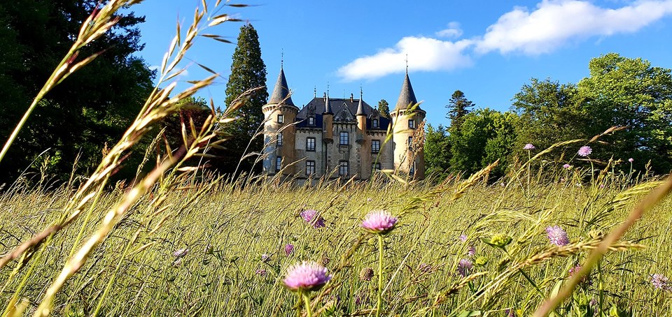 Le Château de Montivert - N°35