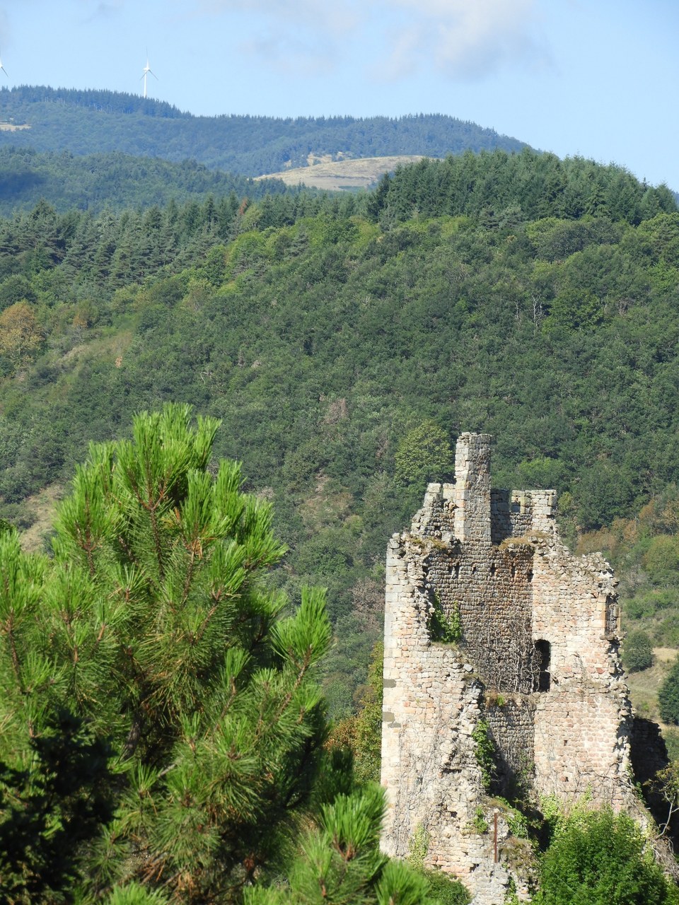 Le Château de Peychelard