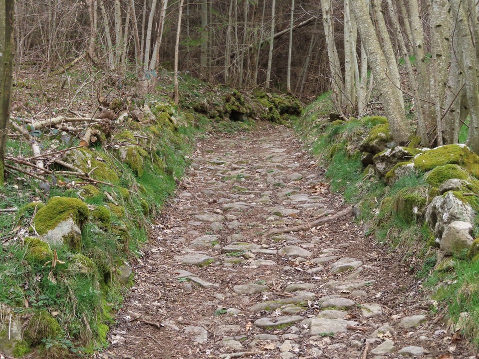 chemin proche de Talaron