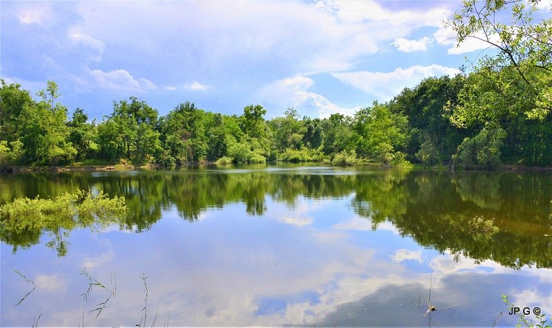 Le Lac de vert