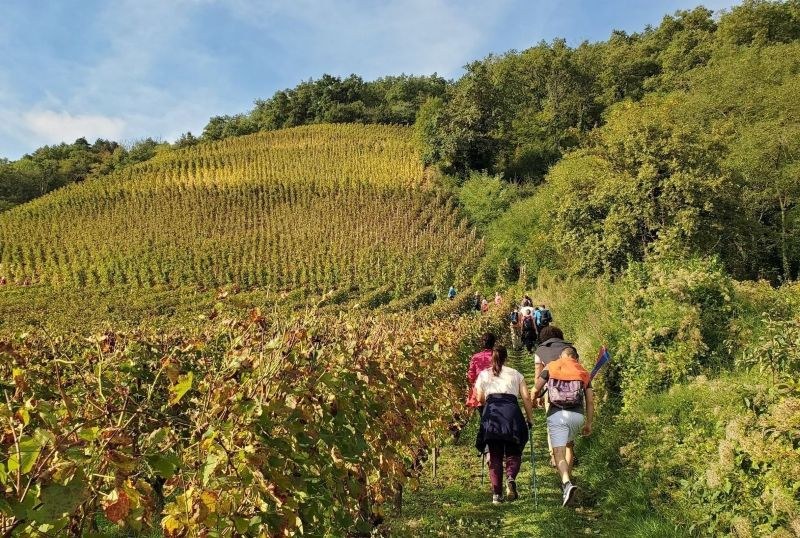 Le Montrond