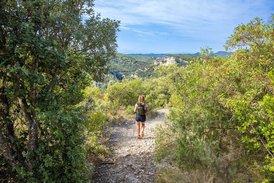 Le sentier vers le Pont d'arc