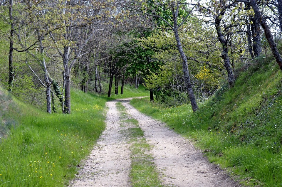 Le Rocher de Peyroles
