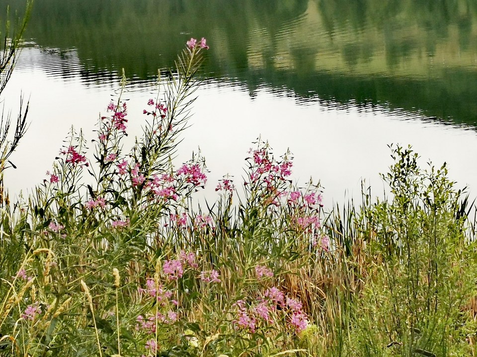 Le Serre - Coucouron - 12