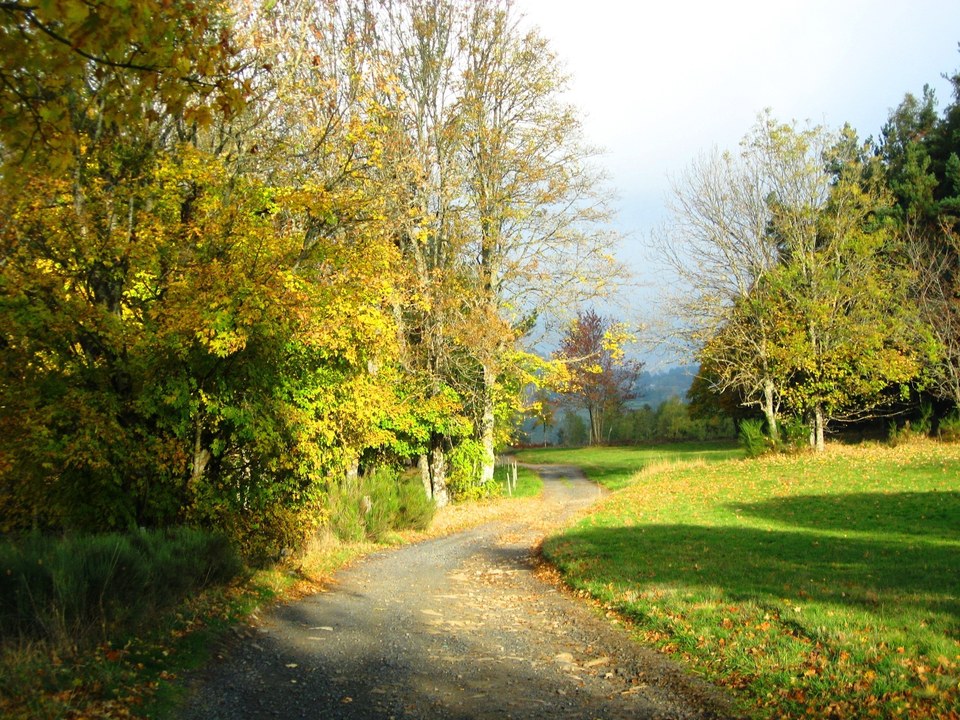 Piste
