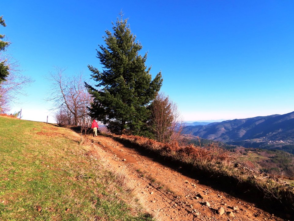 Piste au dessus de Chadenac