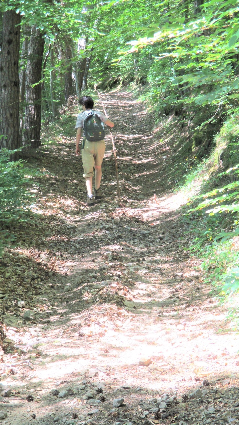 Sentier à Bruas