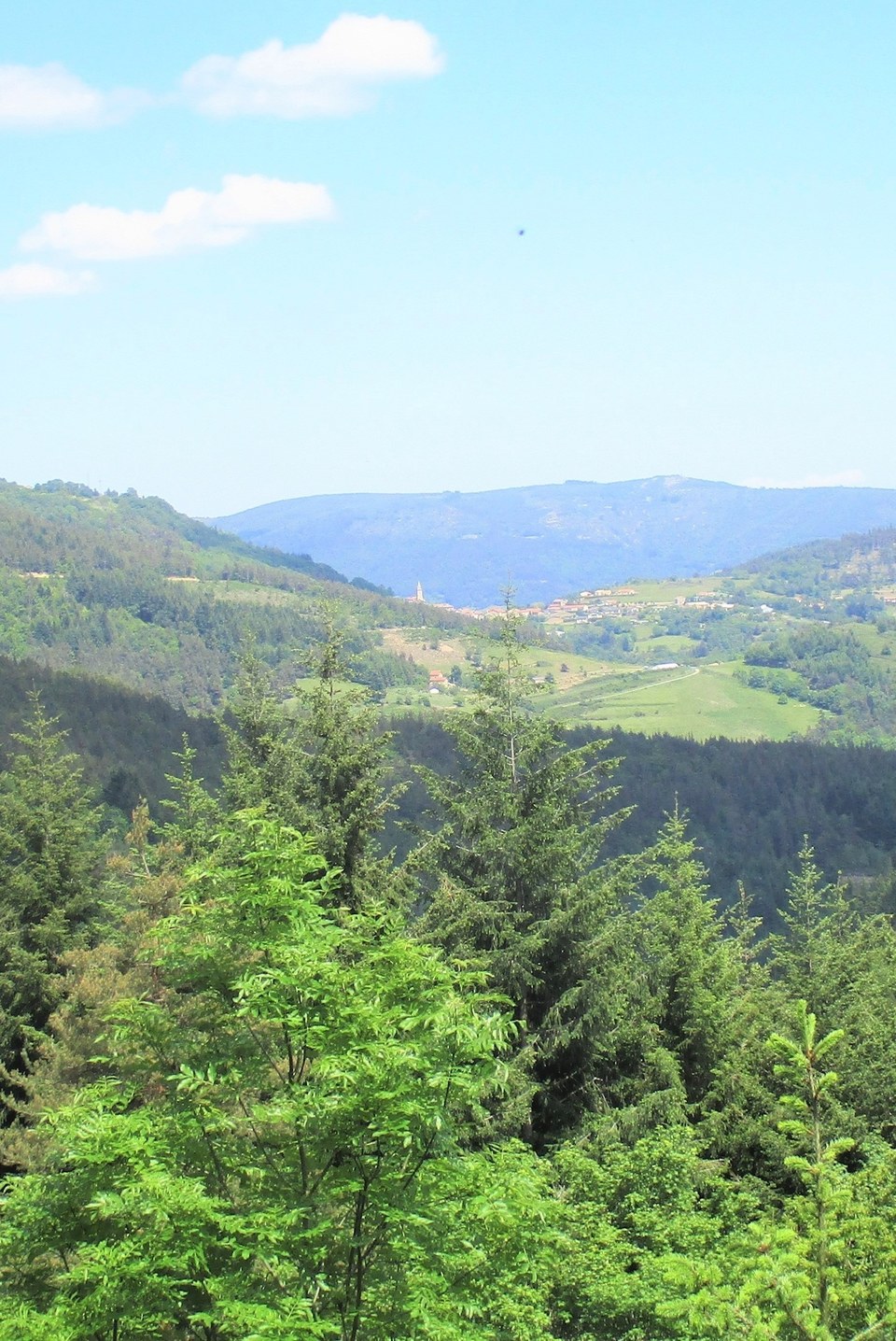 Vue sur Rochepaule