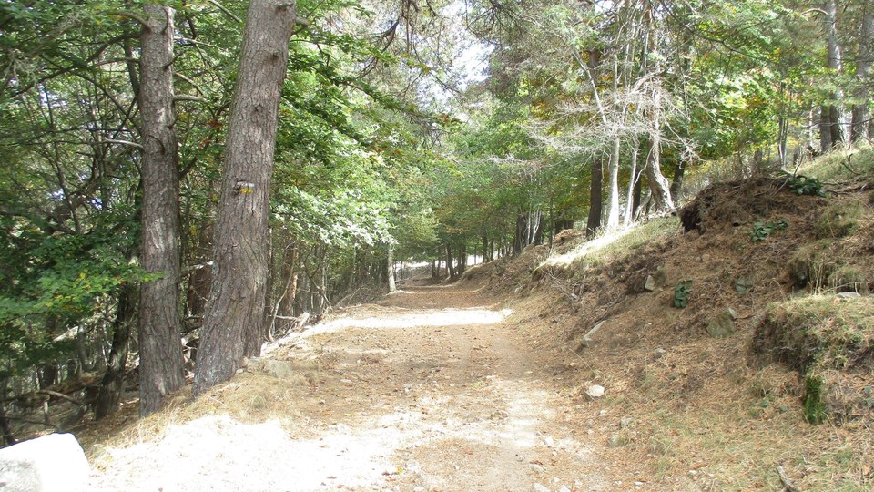 Chemin du Serre de Taillac