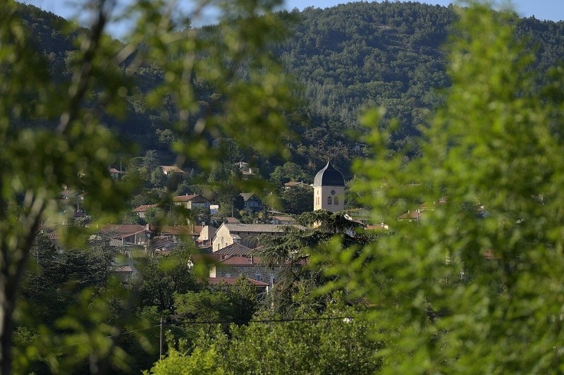 Le Suc des Pins