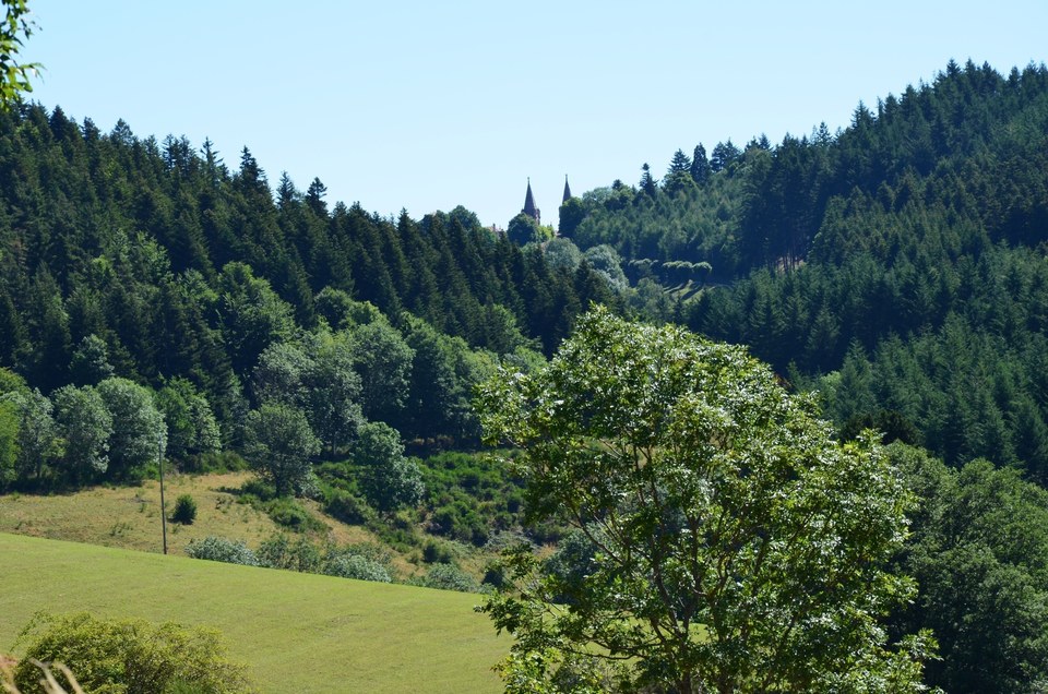 Vue sur les flèches de Lalouvesc