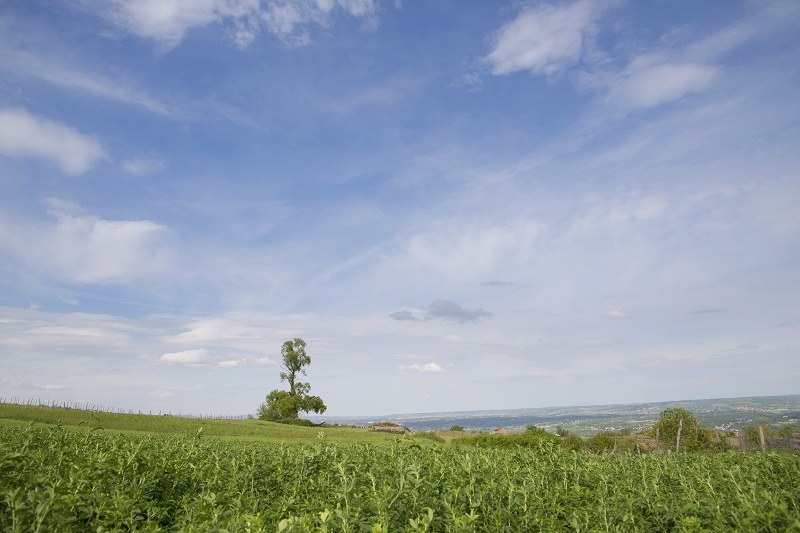 Paysages randonnée château de Bayard
