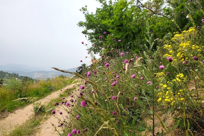 Sentier près du col du Fayet