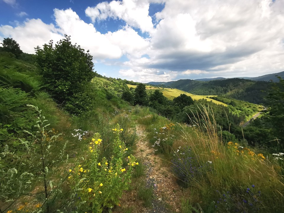 Le gage - Le-Lac-D'Issarlès - 53