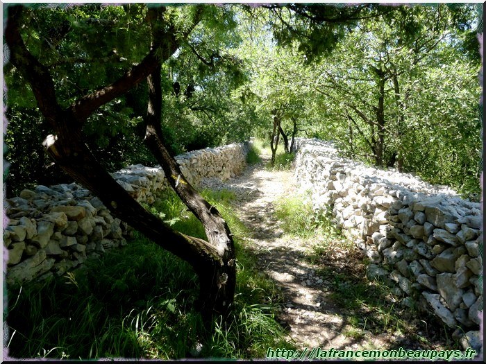 Sentier de la Pierre bleue