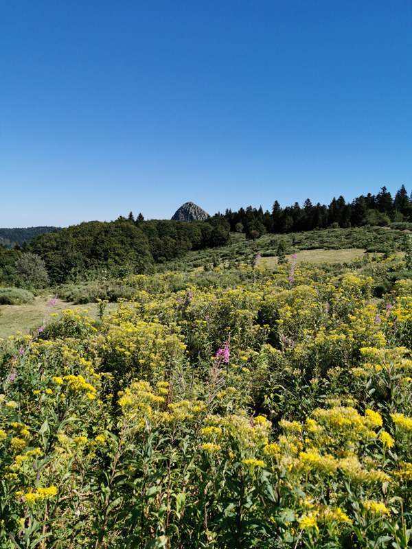 Le sentier du Pradal - Saint-Martial