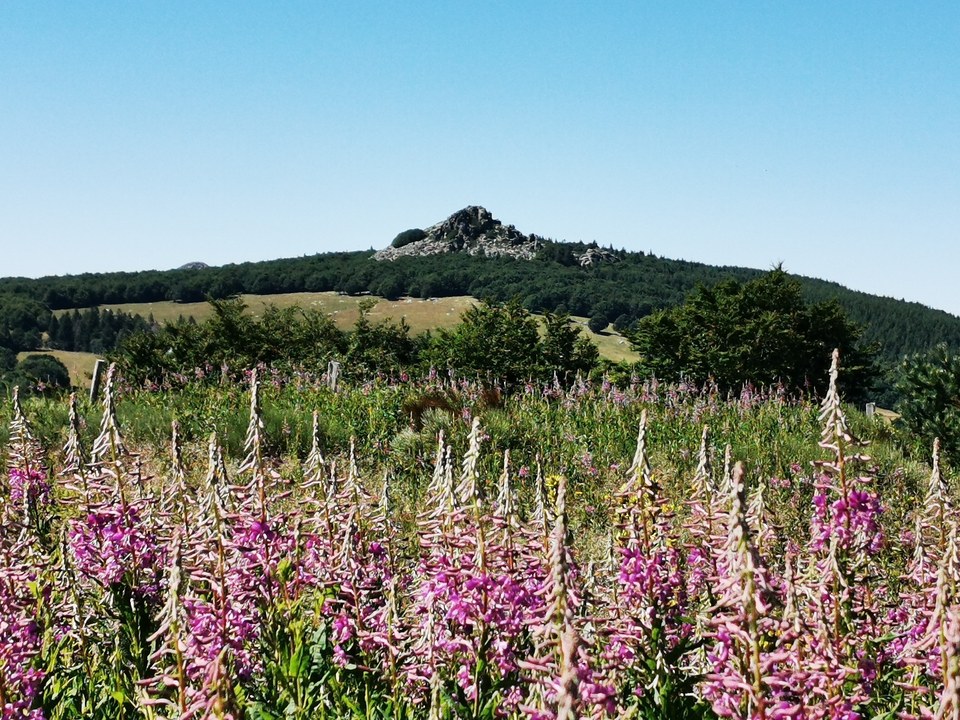 Les Coux  - Sagnes-et-Goudoulet - 47