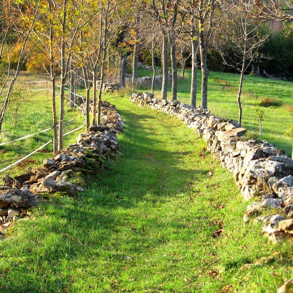 Les Ollières-sur-Eyrieux - La Croix des Bans