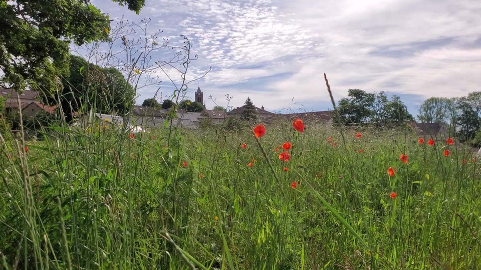 Pré autour de Saint-Agrève